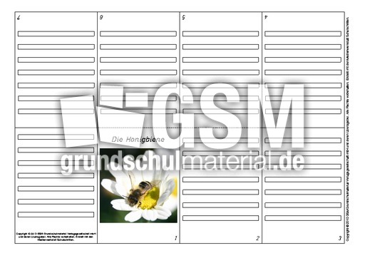 Faltbuch-Honigbiene-3.pdf